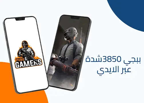 صورة المنتج